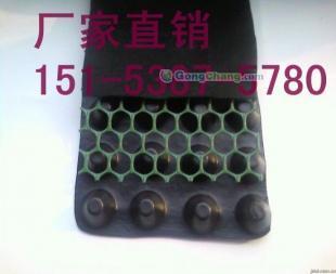 供應赤峰屋面種植隔根板,赤峰園林綠化排水板_建筑建材_世界工廠網中國產品信息庫