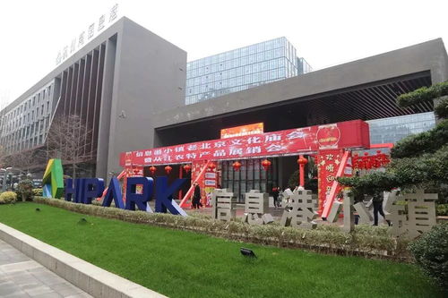 歡騰迎新年,和諧傳經典 ,信息港小鎮的老北京文化廟會暨從江農特產品展銷會是這樣的