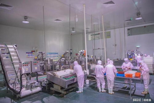 內蒙古食樂康食品當選赤峰市預制菜專業委員會會長單位