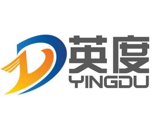 英度 廣州 信息科技