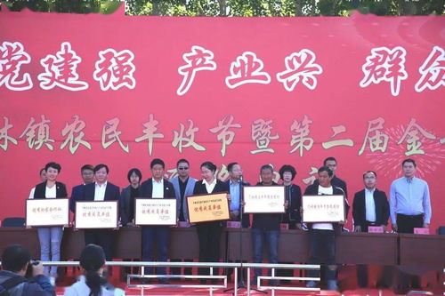 五化協同 赤峰行動 喀旗乃林鎮共建共贏 共享豐收