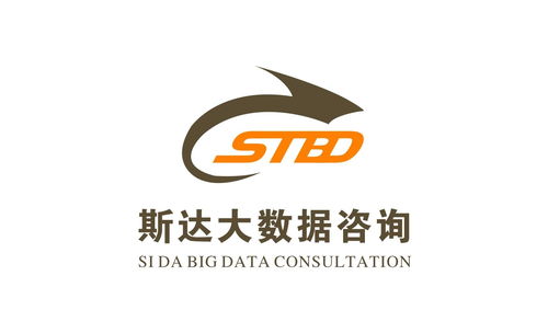 廣西斯達大數據信息咨詢