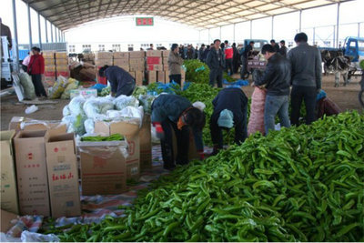 豐收的春天-赤峰信息港