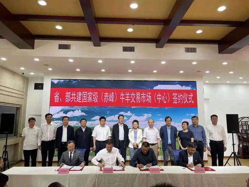 赤峰信息交易市場中心 省部共建國家級平臺在赤峰落地