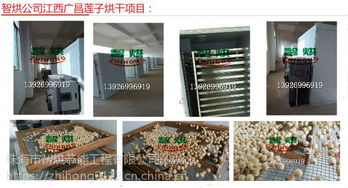 空氣能熱泵蓮子干燥機 智烘護航，解鎖蓮子與茶葉高品質干燥新境界